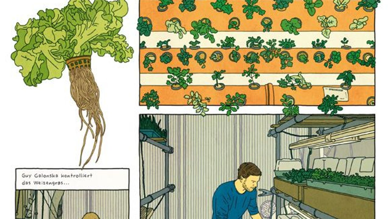 Indoor Farming Gemuseanbau In Den Eigenen Vier Wanden Sz Magazin