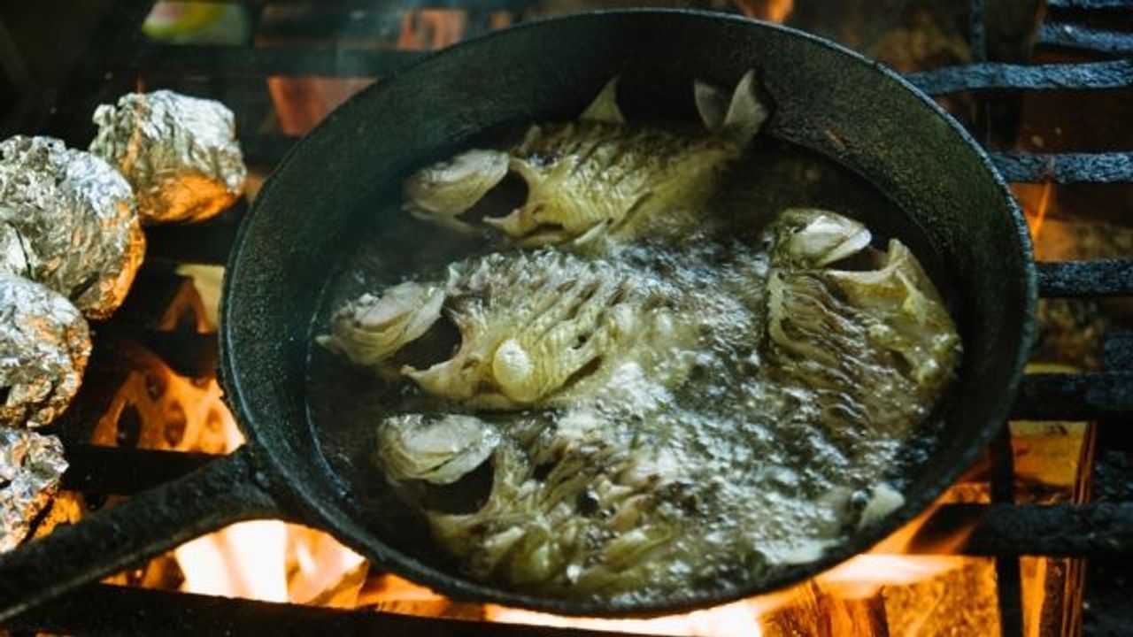 Piranhas zum Verzehr in Öl und Salz braten - SZ Magazin