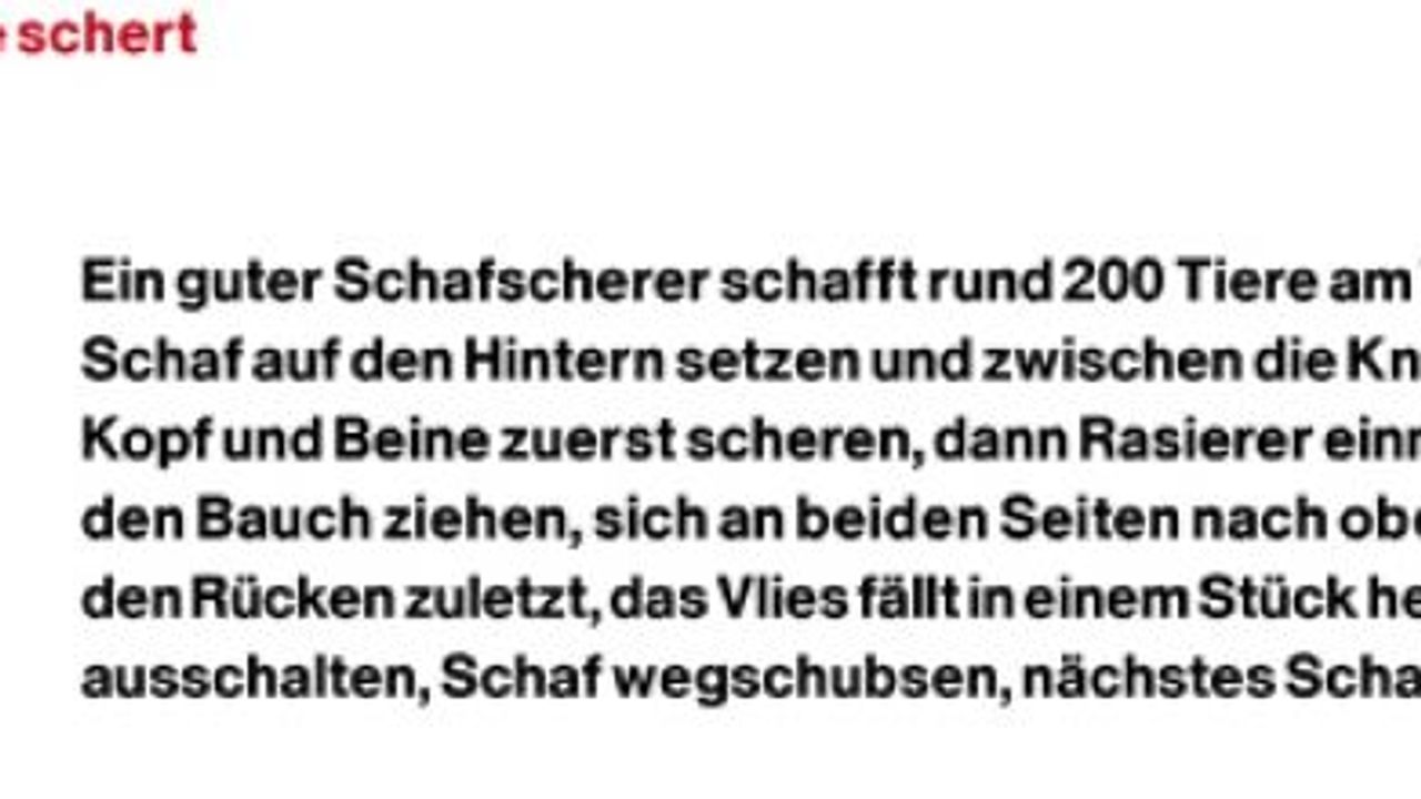 Download Schafe scheren lustig For iPhone Schafe Scheren Lustig