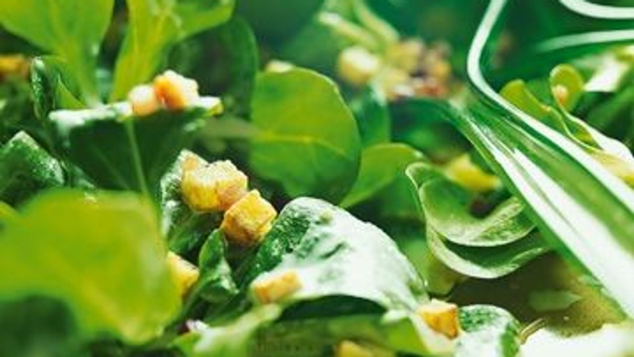 Rezept: Feldsalat mit Kartoffeldressing - SZ Magazin