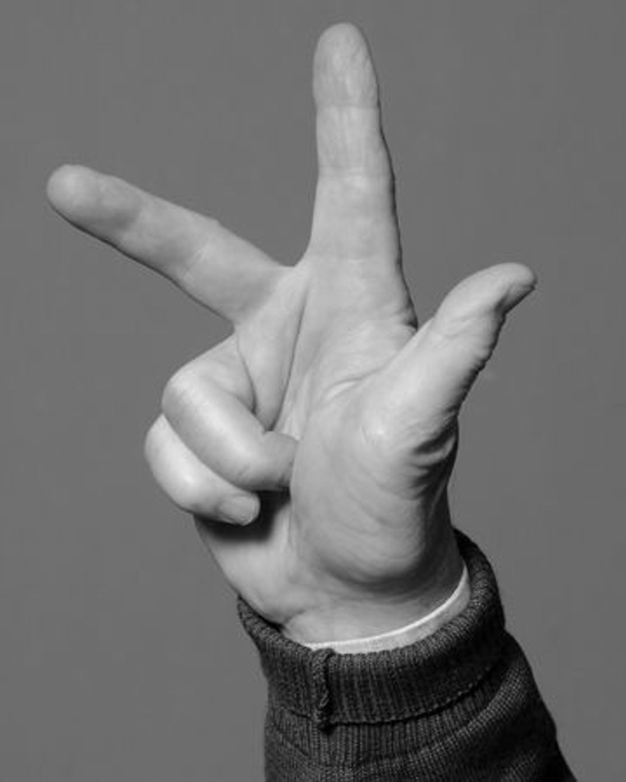 Ein Interview ohne Worte mit der dem Politiker Daniel CohnBendit SZ