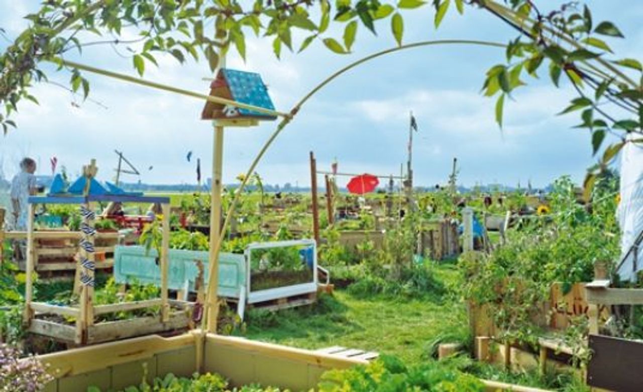 Garten auf dem ehemligen Flughafen Tempelhof in Berlin
