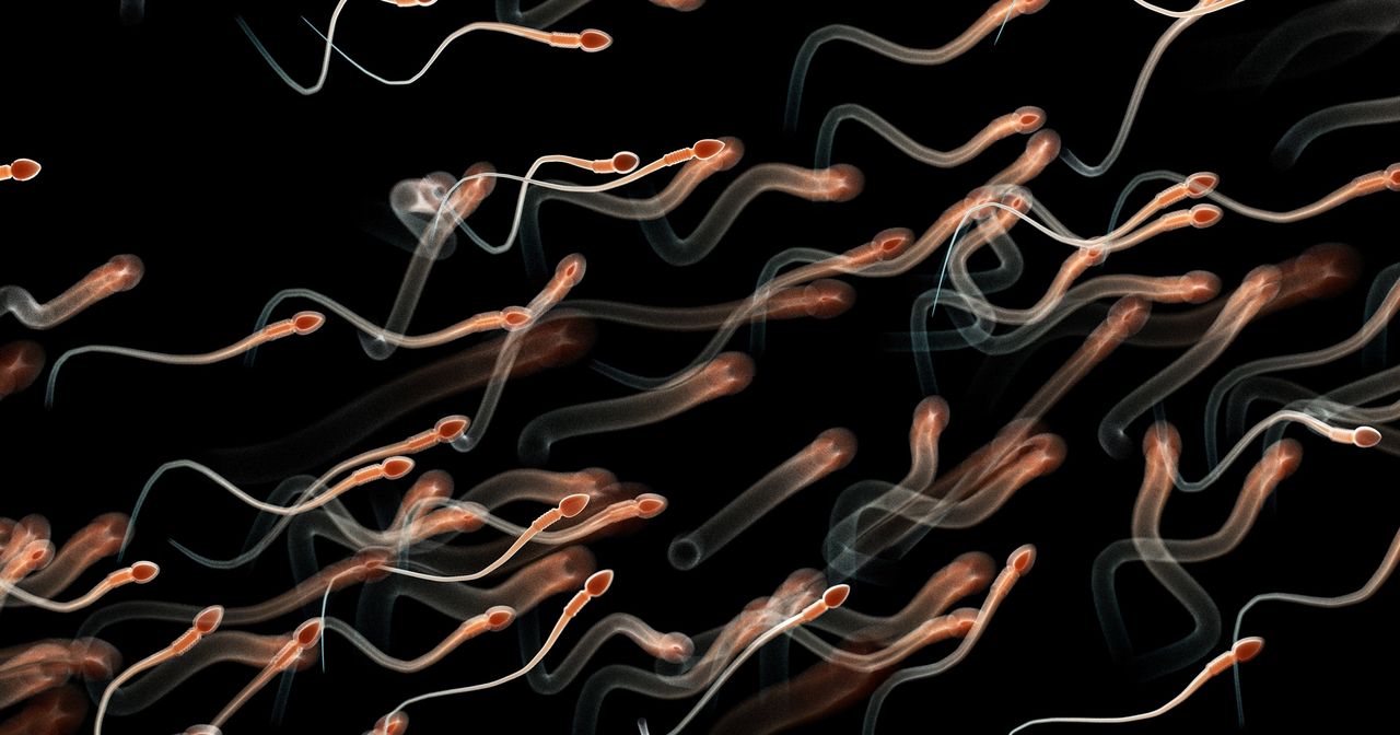 食事と喫煙: より良い精子を得るために男性ができることは何ですか?