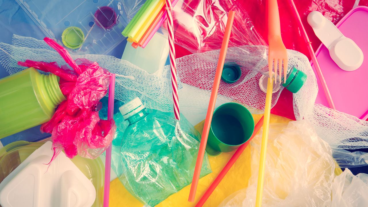 Plastik: Wie eine Plastiktüte nostalgische Gefühle wecken kann - SZ Magazin