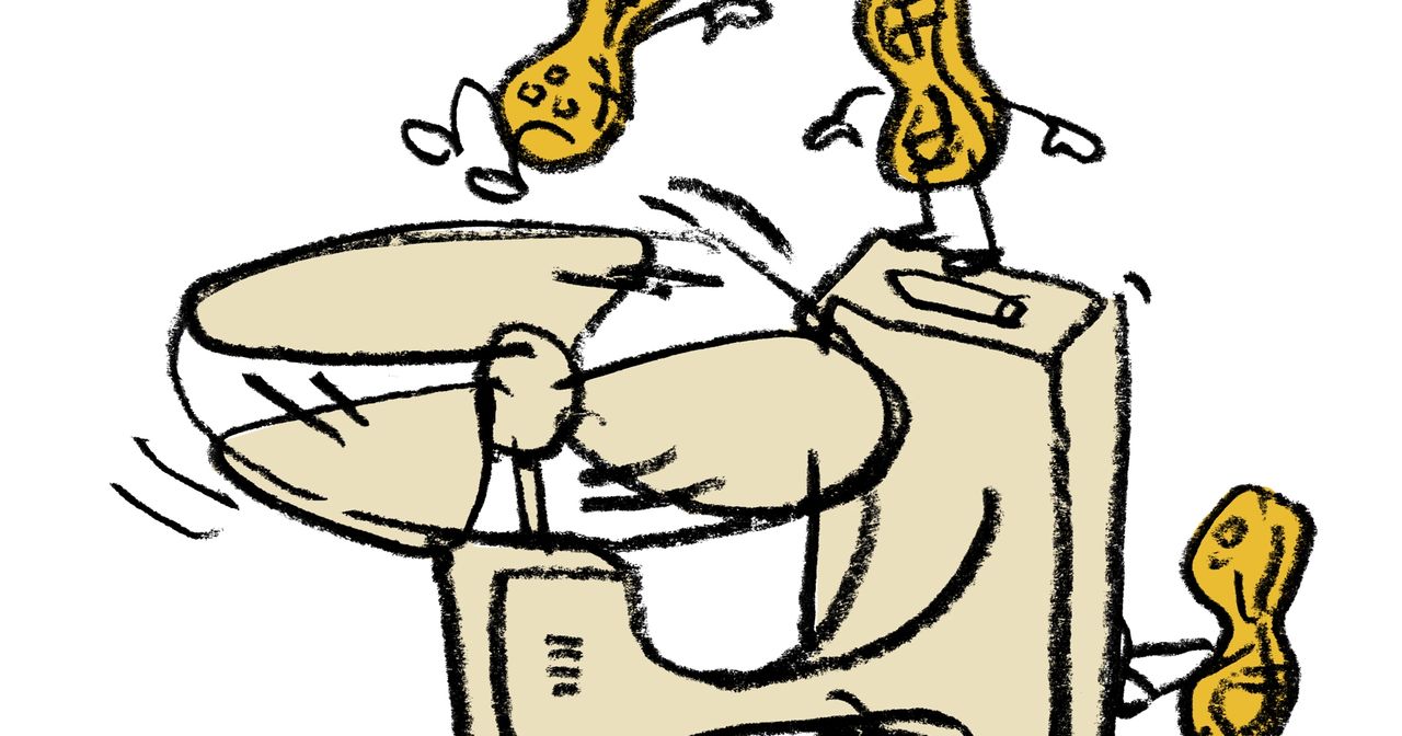 Was ist der Unterschied zwischen Erdnussmus und Erdnussbutter?