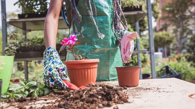 »Blumenerde aus dem Vorjahr? Da wäre ich skeptisch«