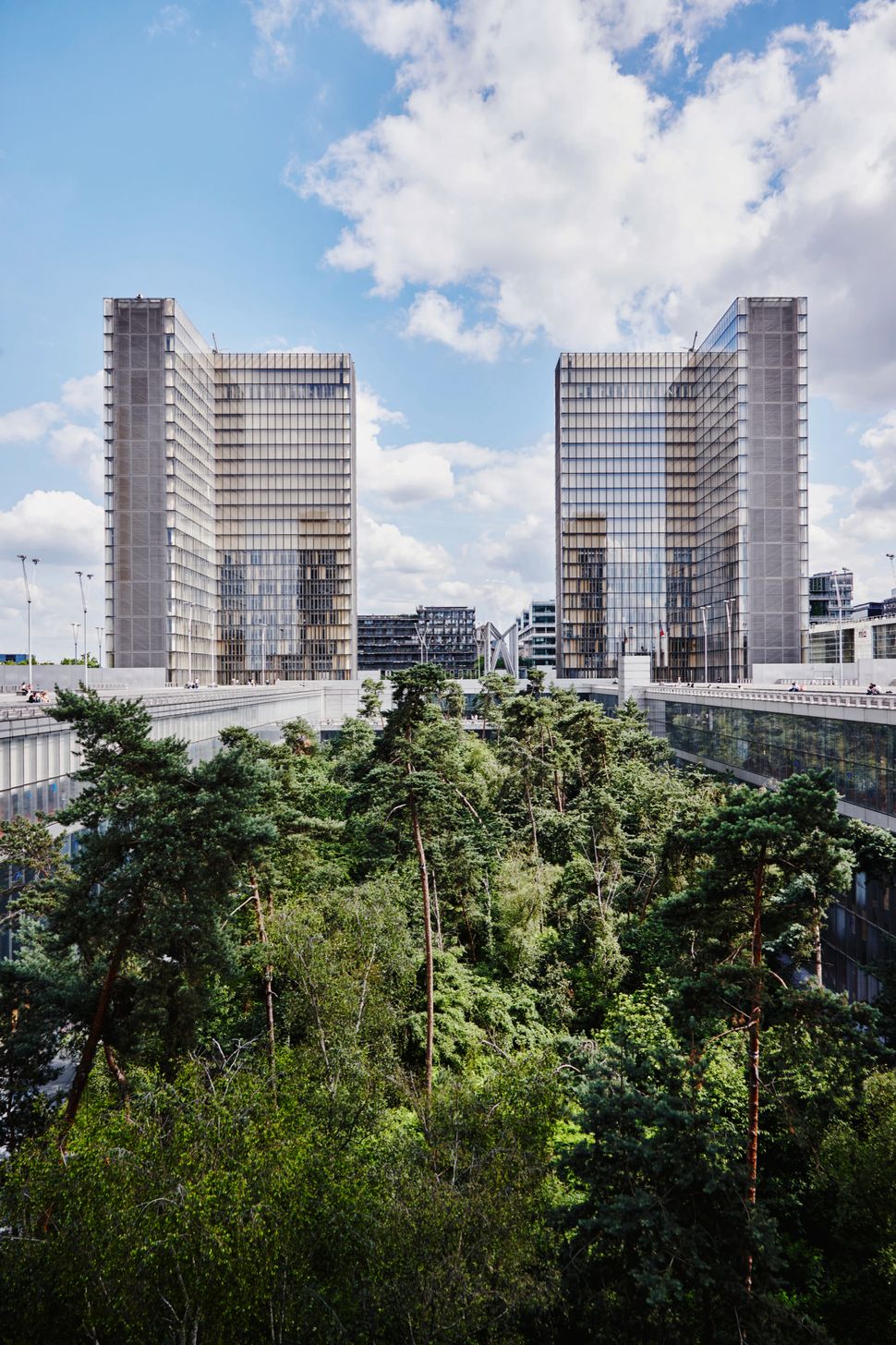 Der Wald In Der Pariser Nationalbibliothek Sz Magazin