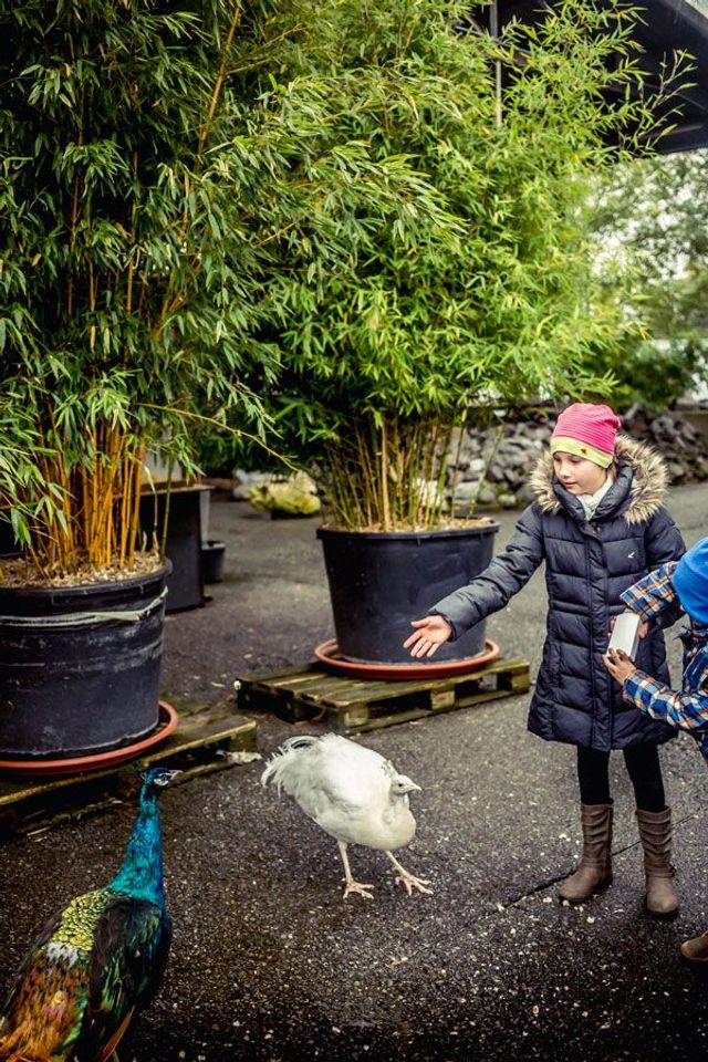 Zoo Zajac – die größte Zoohandlung der Welt - SZ Magazin