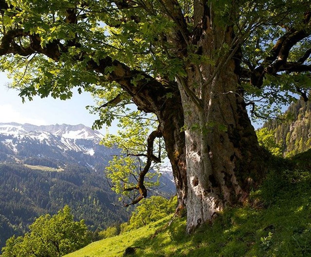 SZMagazin Artikel zum Thema Natur SZ Magazin