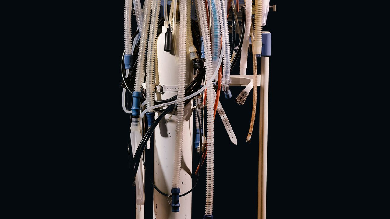 Was beim Sterben im Körper passiert - Süddeutsche Zeitung Magazin