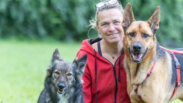 »Wer unerfahren ist und kleine Kinder hat, bekommt von mir keinen Hund.«