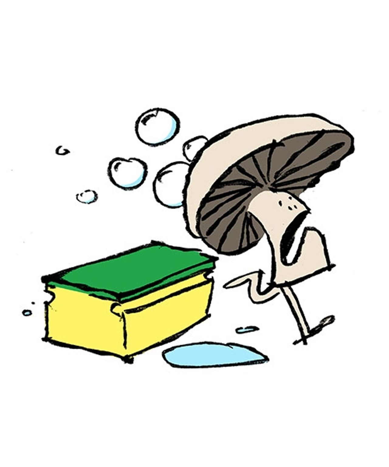 Warum soll man Pilze nicht waschen? SZ Magazin