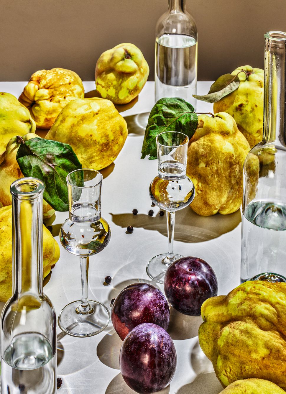 Warum Und Wie Man Obstler Zu Hause Selbst Macht Sz Magazin