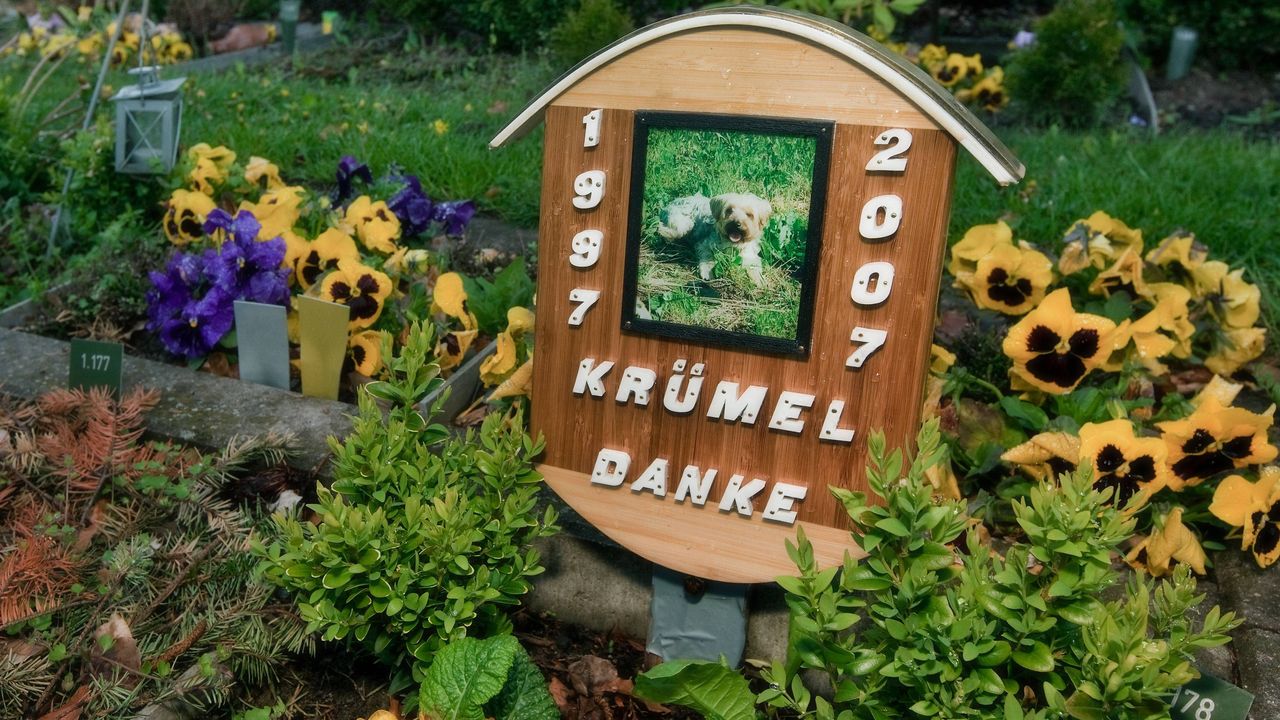 Abschied Fuer Immer Tod