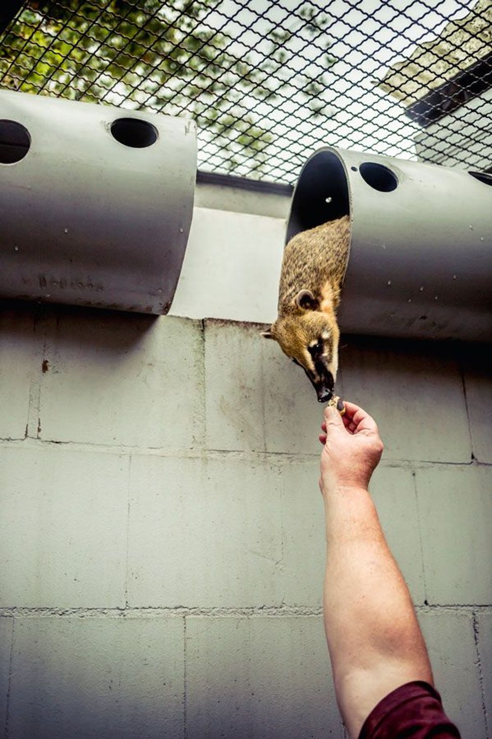 Zoo Zajac – die größte Zoohandlung der Welt - SZ Magazin