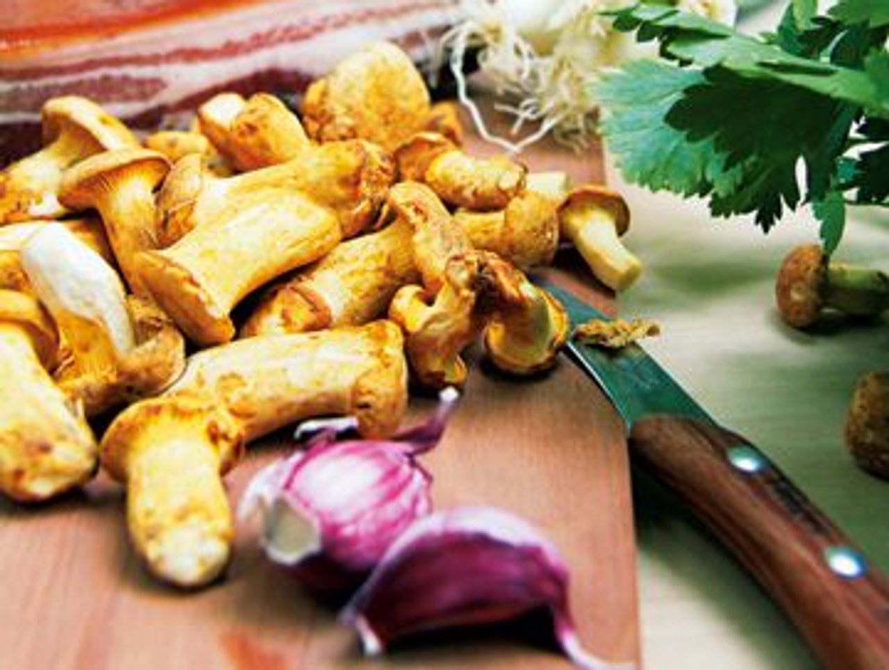 Gekräuterte Pfifferlingssuppe - SZ Magazin