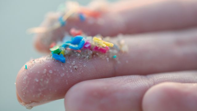 Kann man sich vor Mikroplastik schützen?