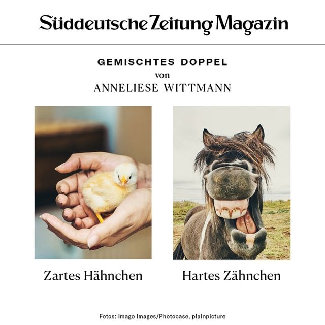 Das Gemischte Doppel Sz Magazin 6999