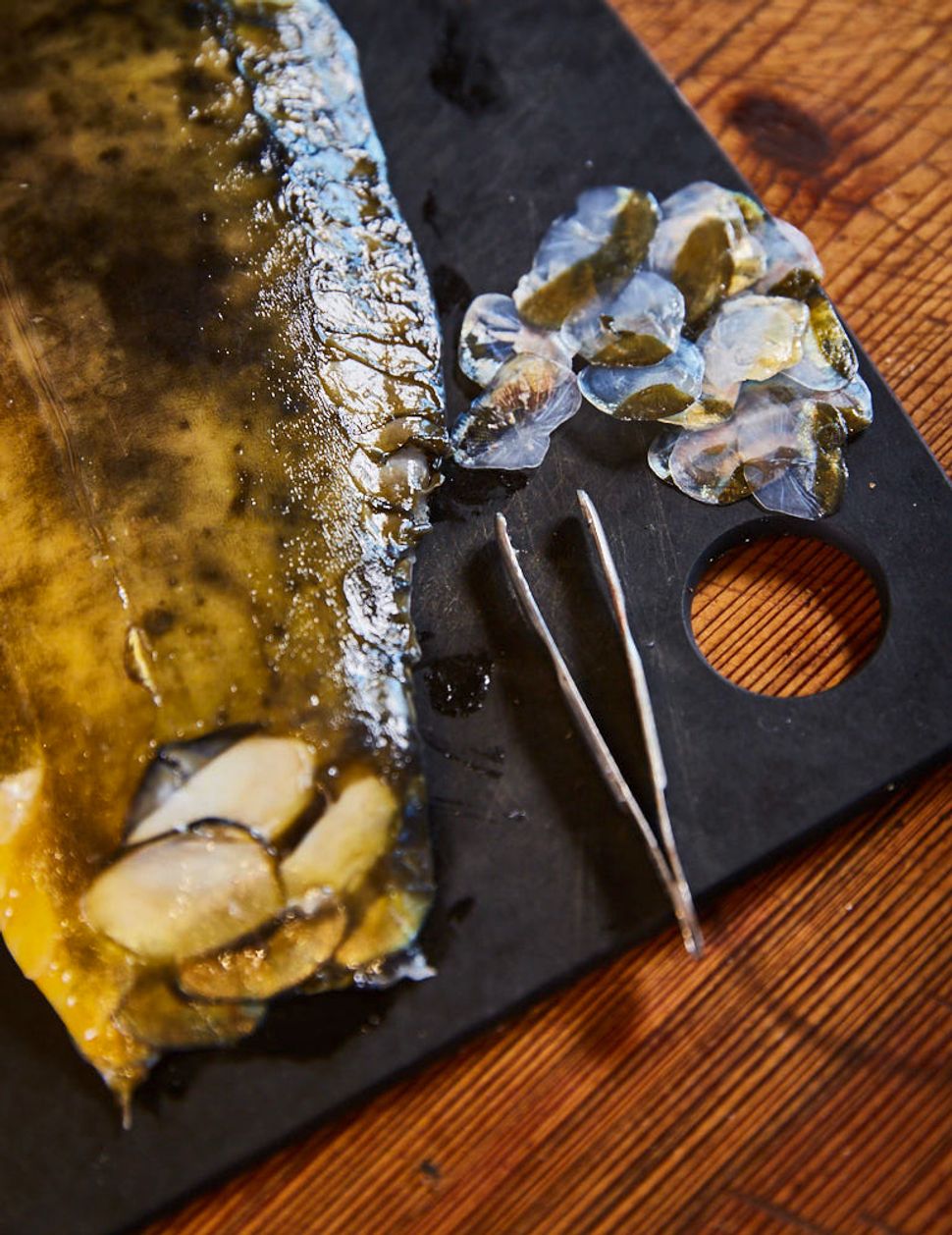 Gebackenes Karpfenfilet mit Kürbis und Ingwer - Rezept - SZ Magazin